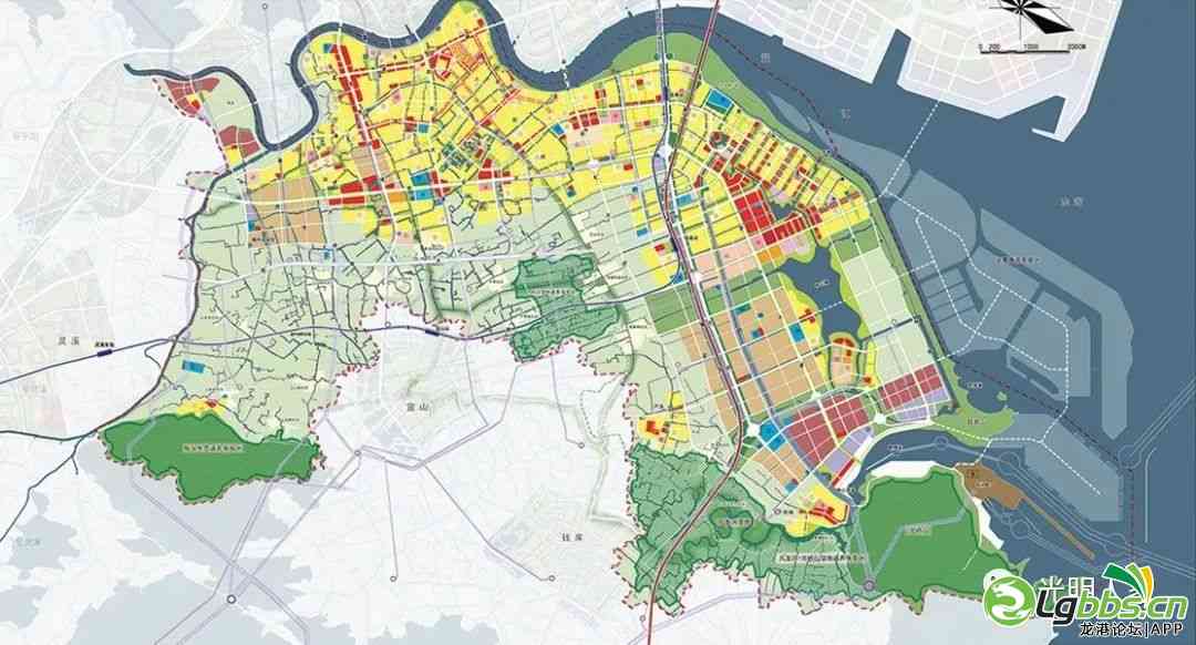 龙港区人民政府办公室最新发展规划概览