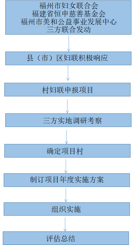 十村最新发展规划启动，打造繁荣宜居乡村新面貌