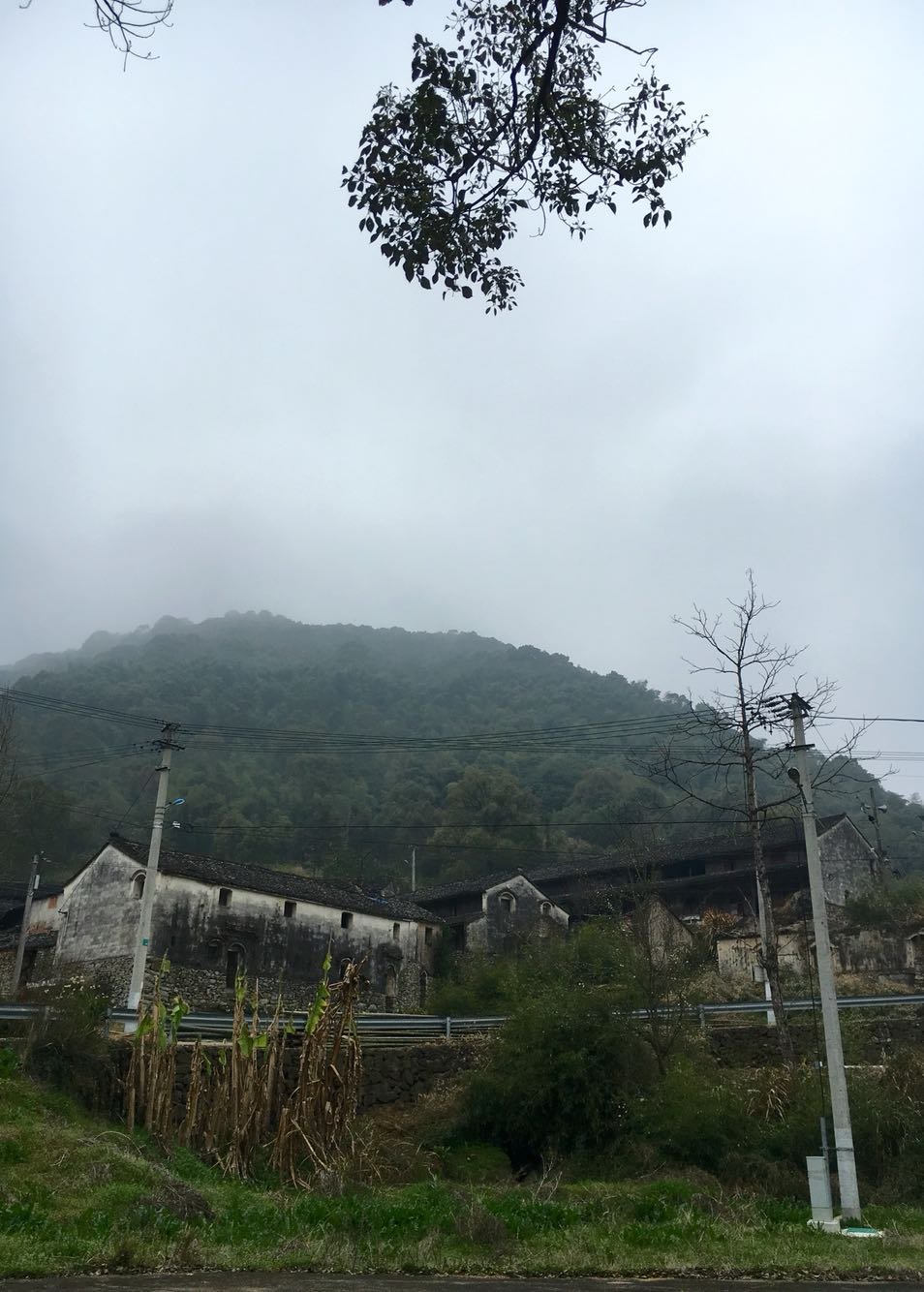 民联乡天气预报更新通知