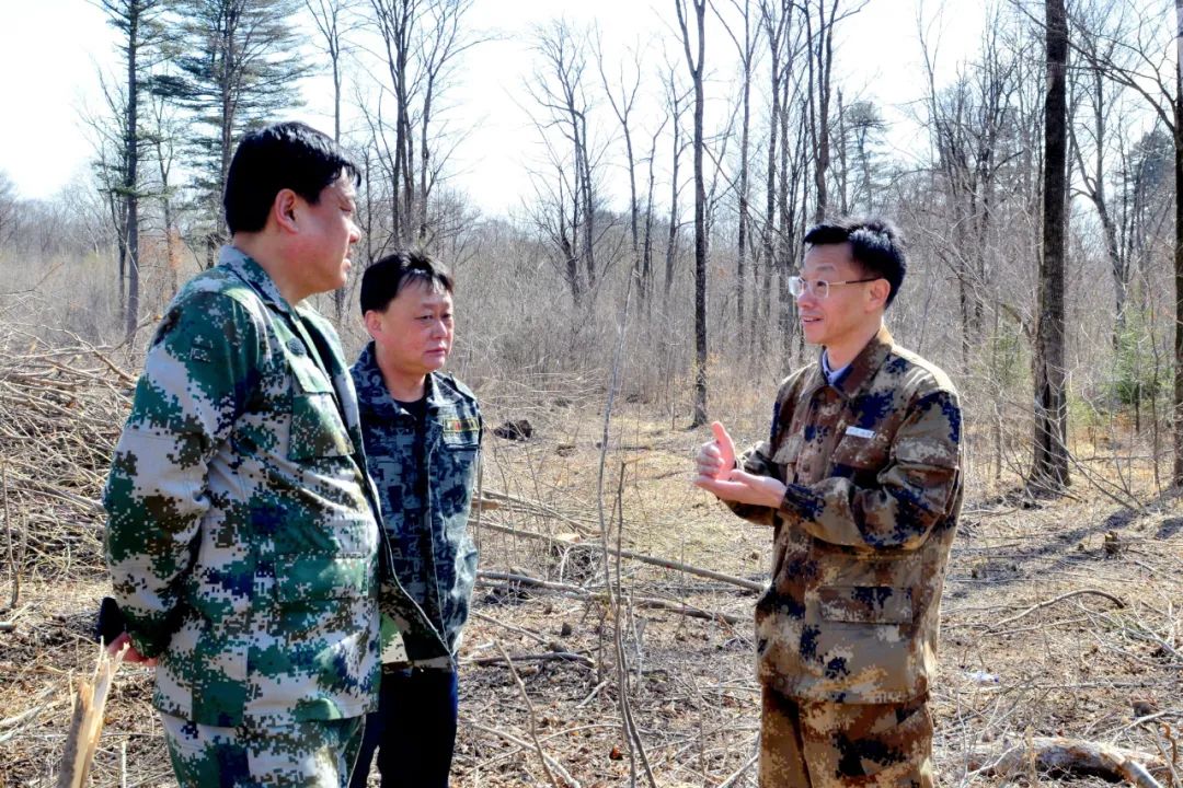 西岗子试验林场最新动态报道